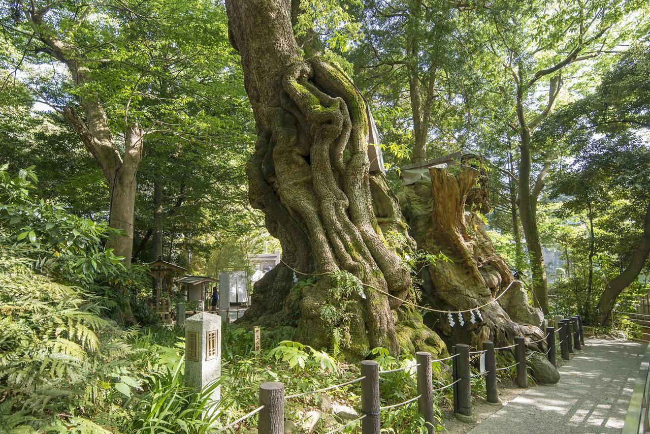 Tkp Lectore Atami Koarashi Exterior foto